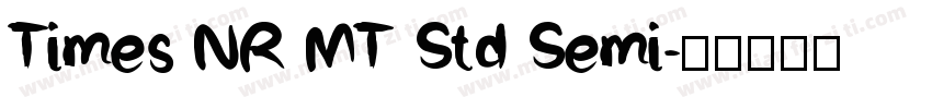 Times NR MT Std Semi字体转换